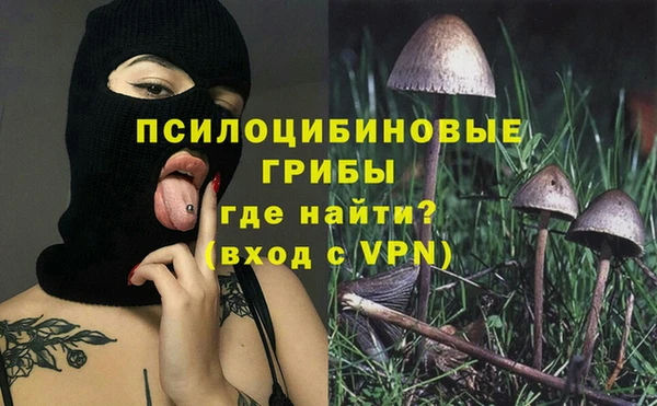 спайс Абинск