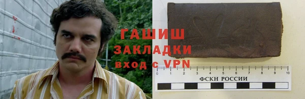 шишки Абаза