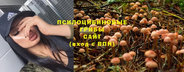 спайс Абинск