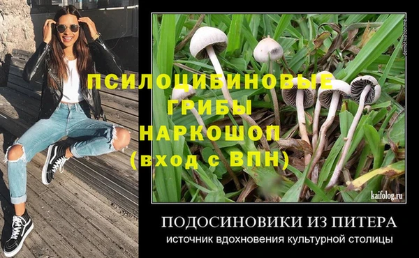 винт Алексеевка