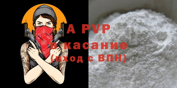 шишки Абаза
