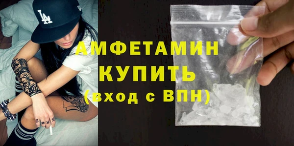 шишки Абаза