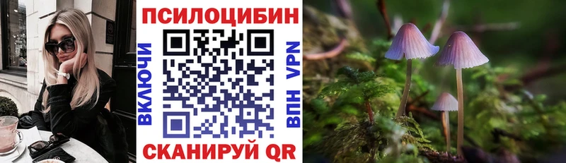 Галлюциногенные грибы прущие грибы  Сухиничи 