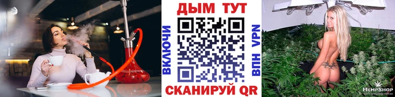 Бошки Шишки THC 21%  дарнет шоп  Сухиничи 